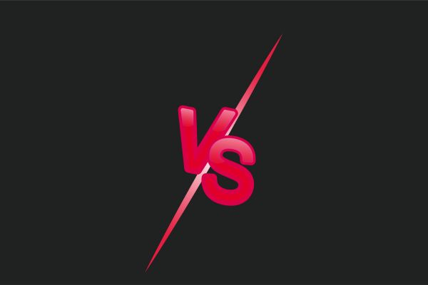 What is Domain vs Hosting?